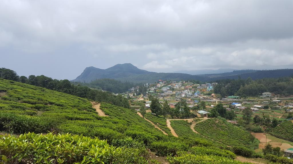 Eranga Guest Hotell Nuwara Eliya Exteriör bild